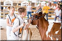 LCFAIR17-1430.jpg