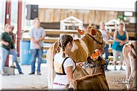 LCFAIR17-1438.jpg