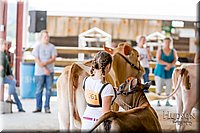 LCFAIR17-1439.jpg