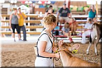 LCFAIR17-1440.jpg