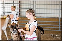 LCFAIR17-1453.jpg