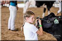 LCFAIR17-1485.jpg