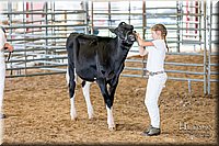 LCFAIR17-1503.jpg