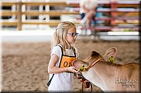 LCFAIR17-1555.jpg