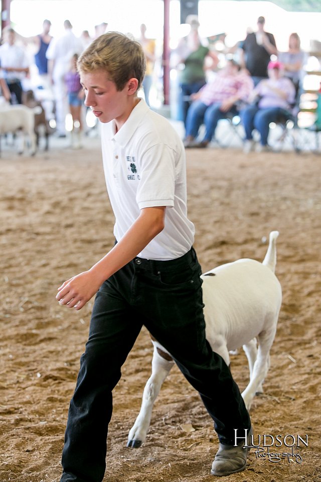 LCFAIR17-1910.jpg