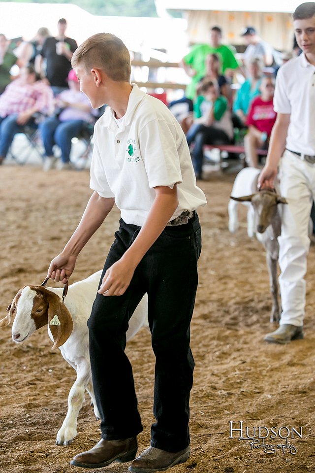 LCFAIR17-1911.jpg