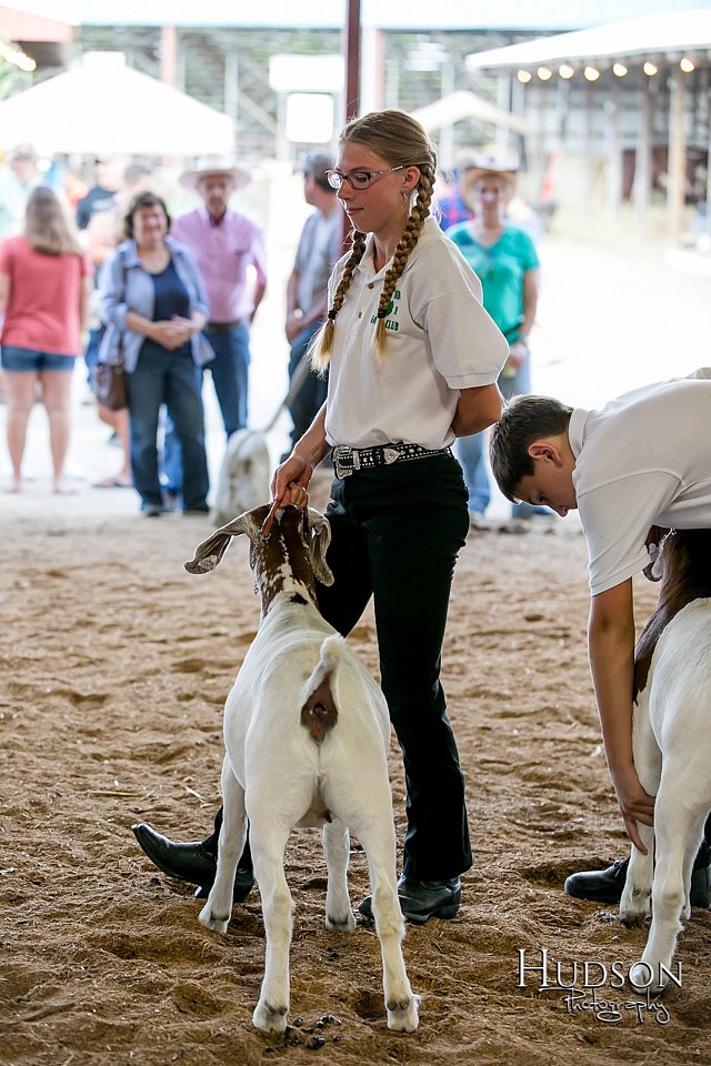 LCFAIR17-1936.jpg