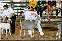 LCFAIR17-1830.jpg