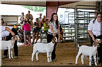 LCFAIR17-1831.jpg