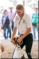 LCFAIR17-1938.jpg