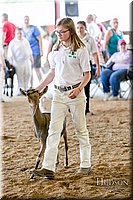 LCFAIR17-2007.jpg