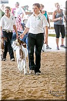 LCFAIR17-2008.jpg