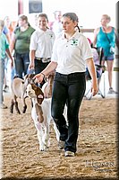 LCFAIR17-2009.jpg