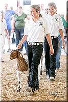 LCFAIR17-2011.jpg