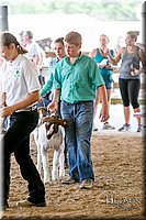 LCFAIR17-2013.jpg