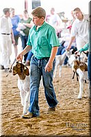 LCFAIR17-2015.jpg