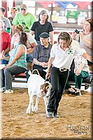 LCFAIR17-2089.jpg