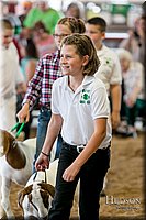 LCFAIR17-2091.jpg