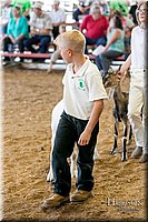 LCFAIR17-2098.jpg