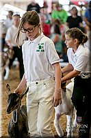 LCFAIR17-2100.jpg