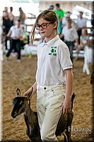 LCFAIR17-2101.jpg