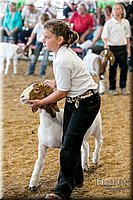 LCFAIR17-2102.jpg