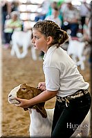 LCFAIR17-2103.jpg