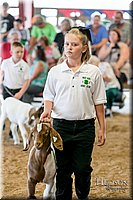 LCFAIR17-2105.jpg