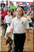 LCFAIR17-2106.jpg