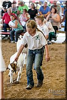 LCFAIR17-2107.jpg