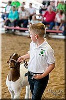 LCFAIR17-2110.jpg