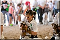 LCFAIR17-2122.jpg