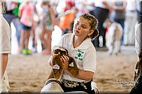 LCFAIR17-2123.jpg