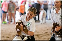 LCFAIR17-2124.jpg