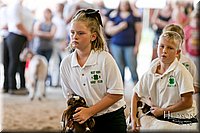 LCFAIR17-2125.jpg