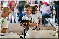 LCFAIR17-2129.jpg