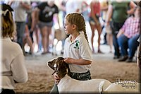 LCFAIR17-2134.jpg