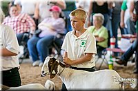 LCFAIR17-2180.jpg