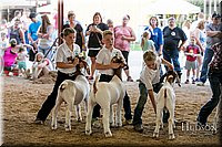 LCFAIR17-2204.jpg