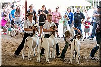 LCFAIR17-2205.jpg