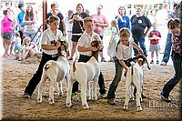 LCFAIR17-2206.jpg