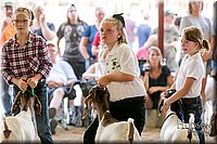 LCFAIR17-2209.jpg