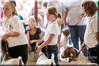 LCFAIR17-2210.jpg