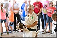 LCFAIR17-2212.jpg