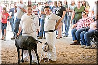 LCFAIR17-2215.jpg