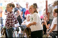 LCFAIR17-2216.jpg