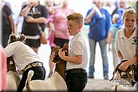 LCFAIR17-2219.jpg