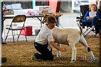 LCFAIR17-2330.jpg