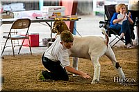 LCFAIR17-2331.jpg