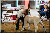 LCFAIR17-2332.jpg